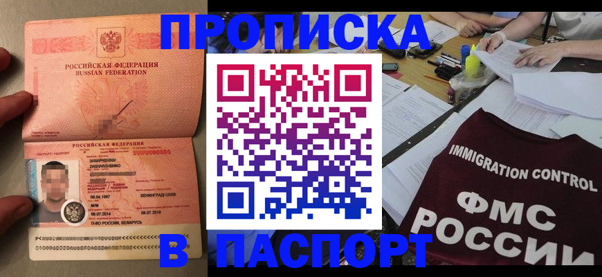 временная регистрация поиск в Курске